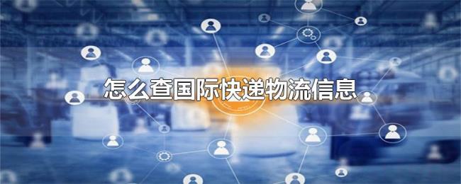 怎么查国际快递物流信息