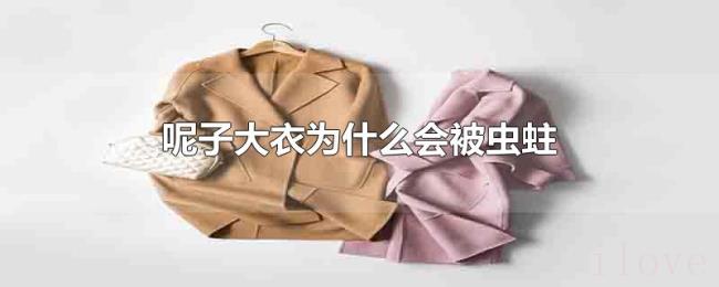 呢子大衣为什么会被虫蛀 呢子大衣为什么会被虫蛀