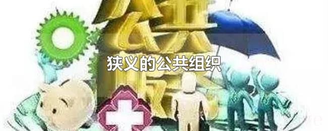 狭义的公共组织 狭义的公共组织