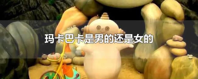 玛卡巴卡是男的还是女的 玛卡巴卡是男的还是女的