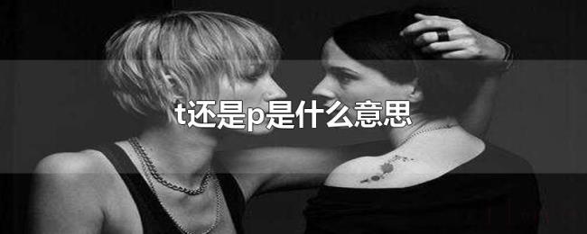 t还是p是什么意思 t还是p是什么意思