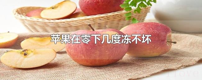 苹果在零下几度冻不坏 苹果在零下几度冻不坏