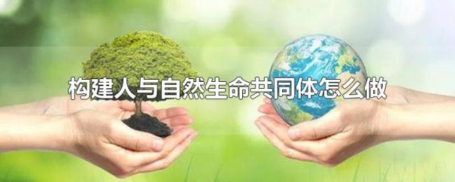 构建人与自然生命共同体怎么做