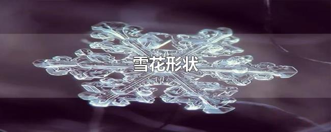 雪花形状