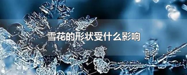 雪花的形状受什么影响