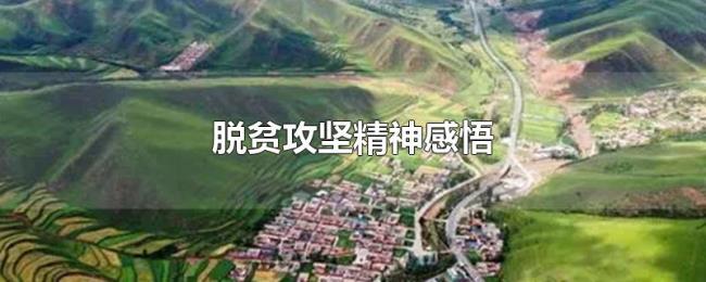 脱贫攻坚精神感悟 脱贫攻坚精神感悟