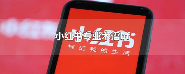 小红书专业术语bf