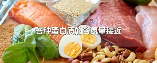 各种蛋白质的含氮量接近