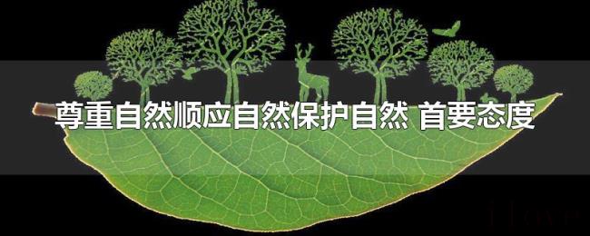 尊重自然顺应自然保护自然（首要态度）