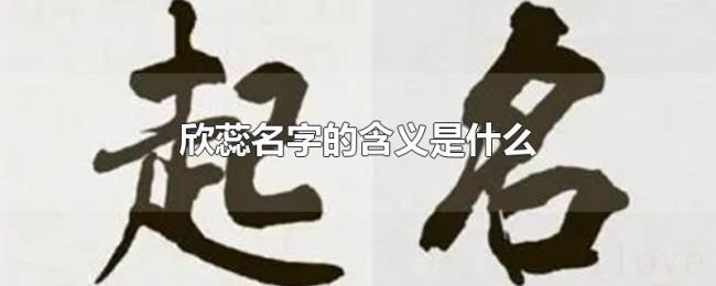 欣蕊名字的含义是什么
