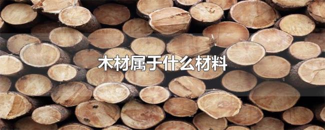 木材属于什么材料