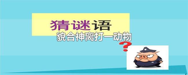 貌合神离打一动物