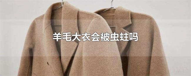 羊毛大衣会被虫蛀吗