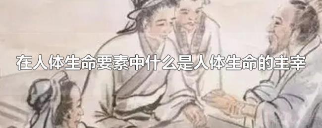 在人体生命要素中什么是人体生命的主宰 在人体生命要素中什么是人体生命的主宰