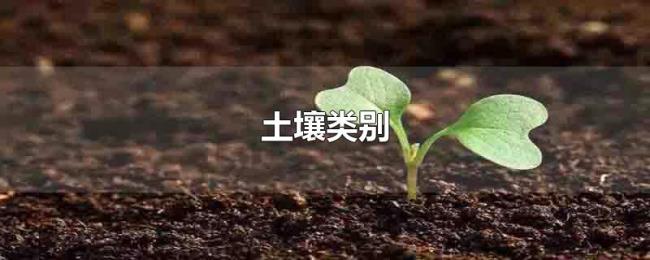 土壤类别 土壤类别