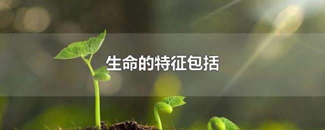 生命的特征包括