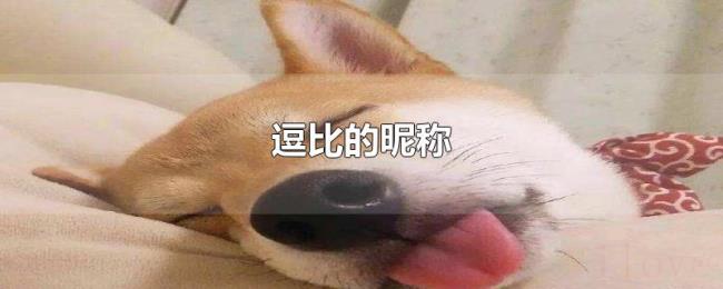 逗比的昵称 逗比的昵称