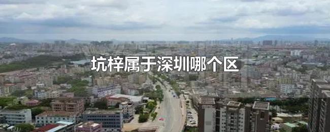 坑梓属于深圳哪个区