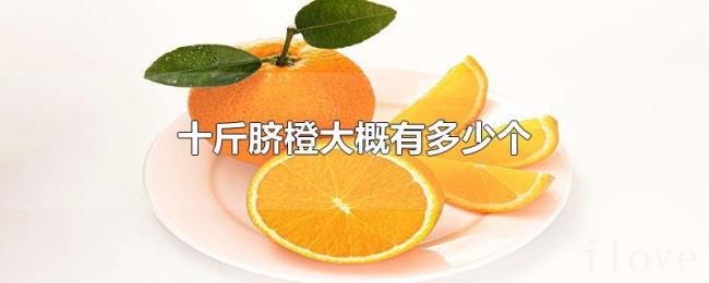 十斤脐橙大概有多少个