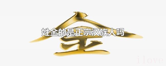 姓金的是正宗汉族人吗