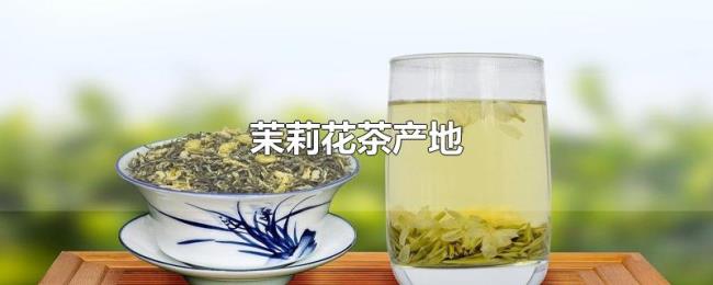 茉莉花茶产地