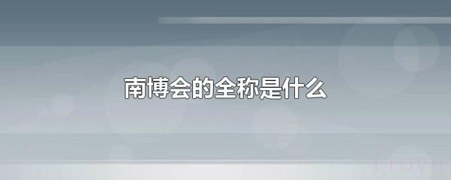 南博会的全称是什么