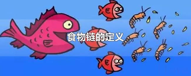 食物链的定义
