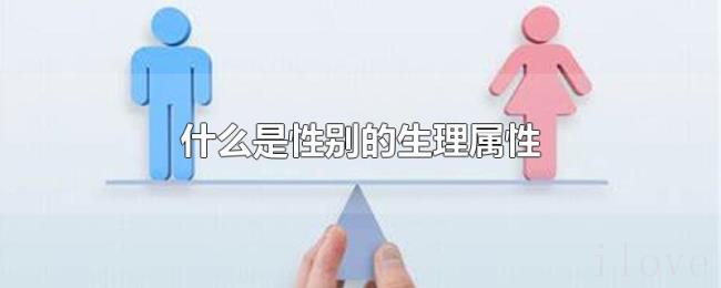 什么是性别的生理属性