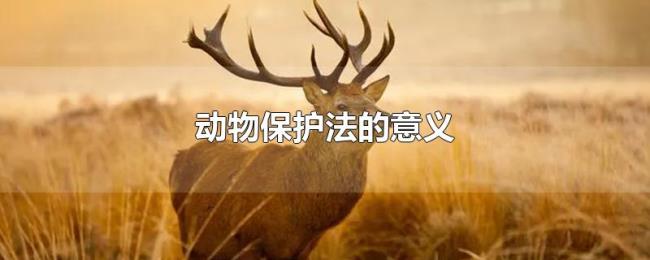 动物保护法的意义 动物保护法的意义