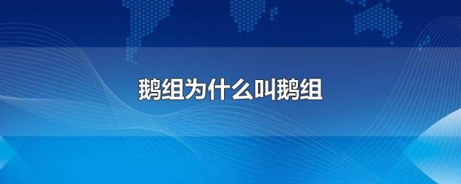 鹅组为什么叫鹅组 鹅组为什么叫鹅组