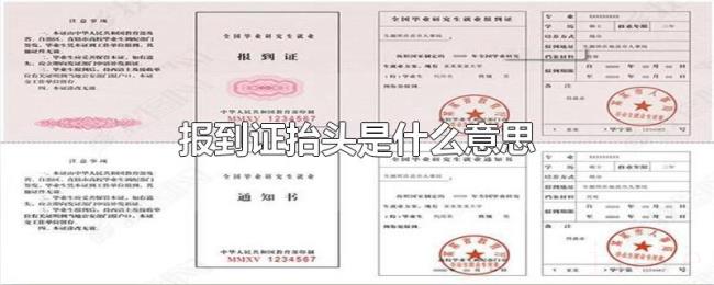 报到证抬头是什么意思 报到证抬头是什么意思