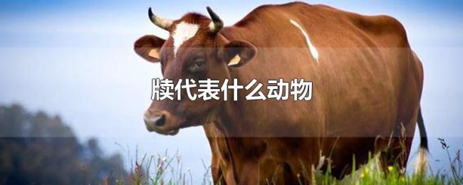 牍代表什么动物 牍代表什么动物