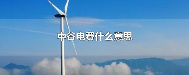 中谷电费什么意思 中谷电费什么意思