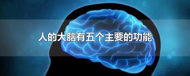 人的大脑有五个主要的功能 人的大脑有五个主要的功能