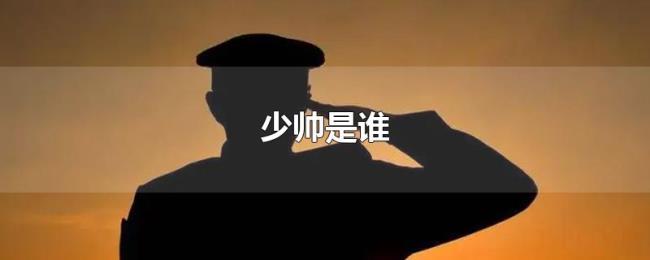 少帅是谁 少帅是谁