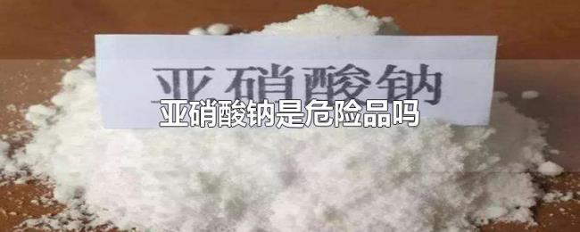 亚硝酸钠是危险品吗 亚硝酸钠是危险品吗