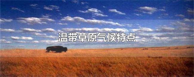 温带草原气候特点
