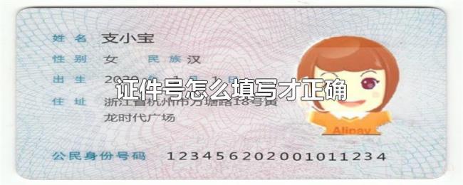 证件号怎么填写才正确