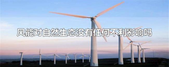 风能对自然生态没有任何不利影响吗