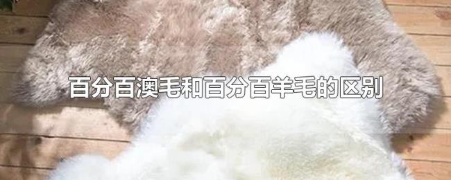 百分百澳毛和百分百羊毛的区别 百分百澳毛和百分百羊毛的区别