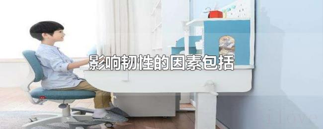 影响韧性的因素包括