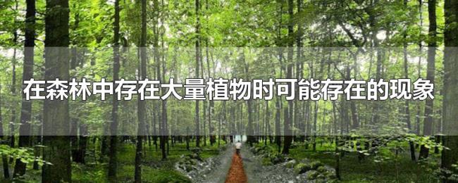 在森林中存在大量植物时可能存在的现象