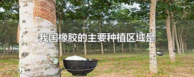 我国橡胶的主要种植区域是