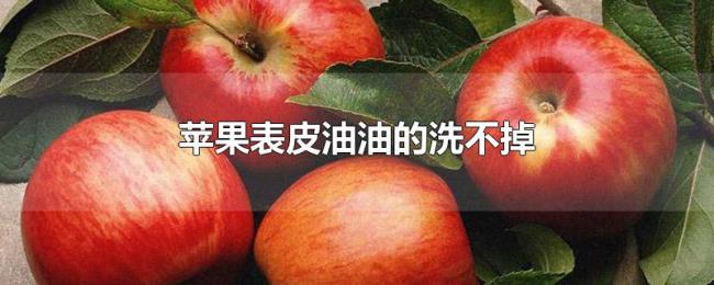 苹果表皮油油的洗不掉