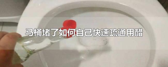 马桶堵了如何自己快速疏通用醋