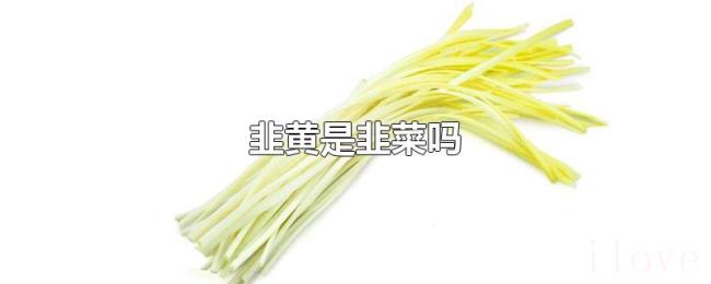 韭黄是韭菜吗