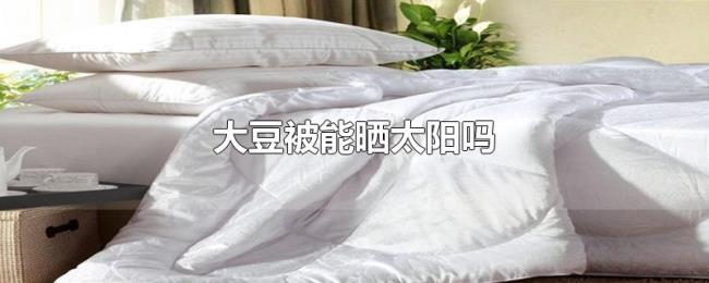 大豆被能晒太阳吗