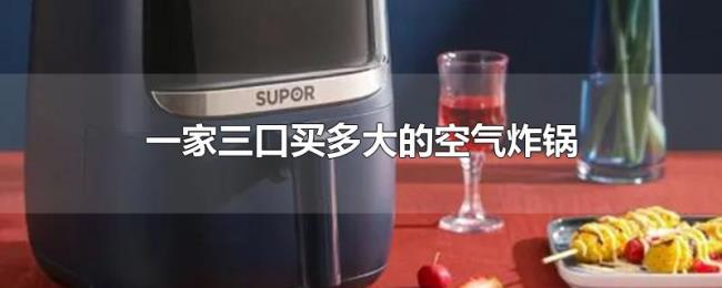 一家三口买多大的空气炸锅