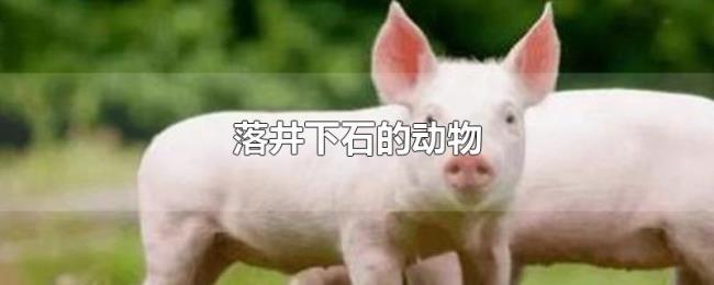 落井下石的动物