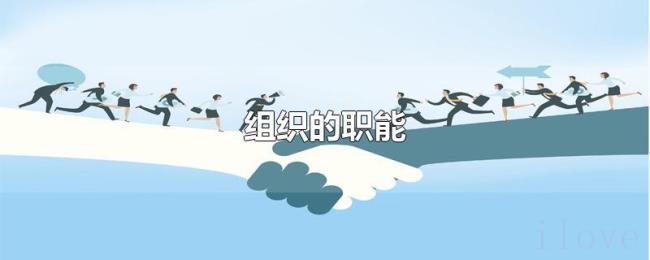 组织的职能